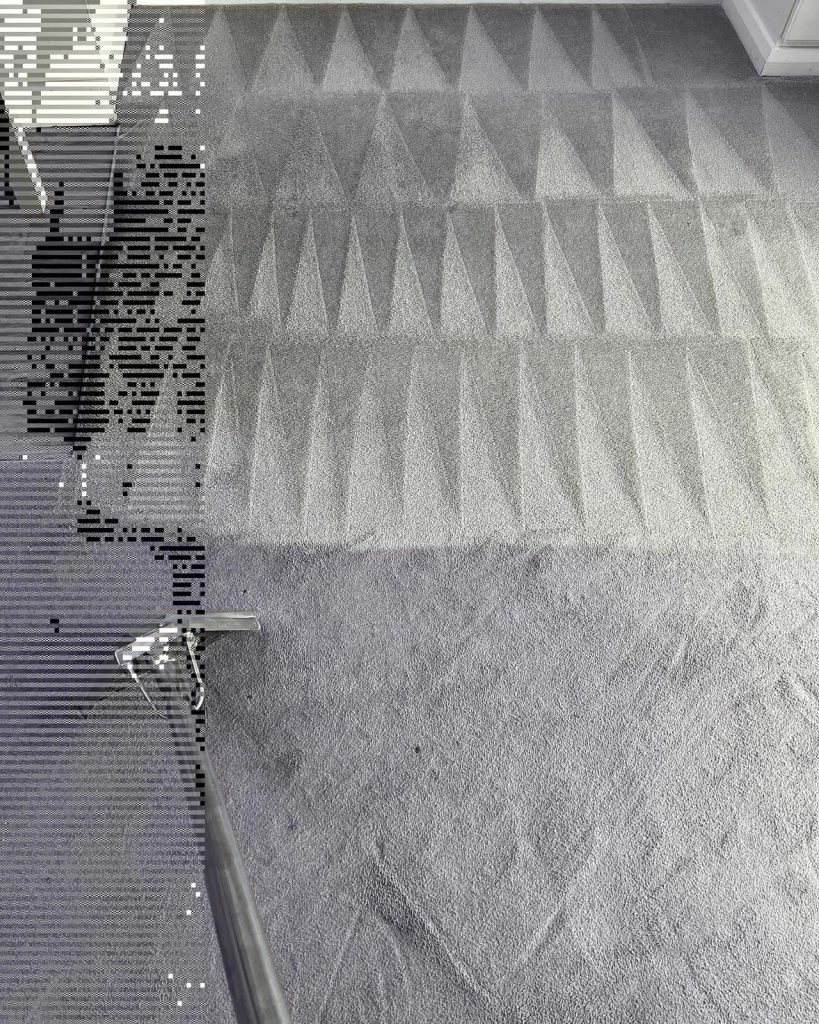 Benefits of Professional Carpet Cleaning